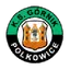 Górnik Polkowice