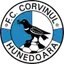 Corvinul Hunedoara